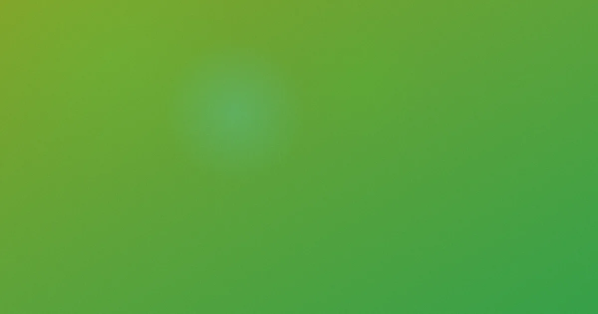 日本小姨子是什么：影评人说清
